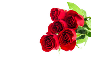Obraz na płótnie Canvas Red rose flowers bouquet white background