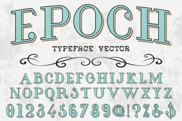font script typeface vector 