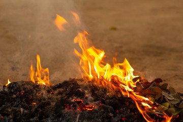 Bonfire of the fallen leaves during autumn