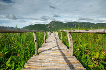 Wooden path with mountain