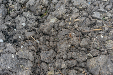 close up black brown soil for reuse and replantation.