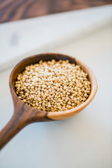 Sorghum Grain