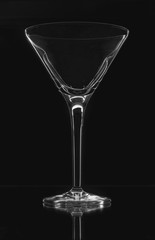 Martini Glass