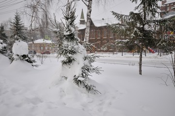 winter in tomsk