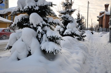 winter in tomsk