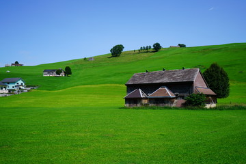 Obraz premium 스위스 초원