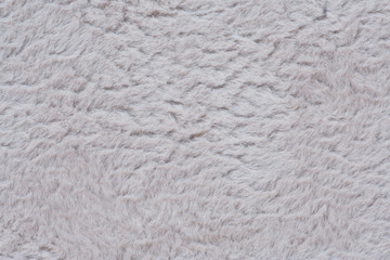 gray fur texture