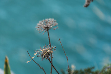 Malta, Gozo © Marcin