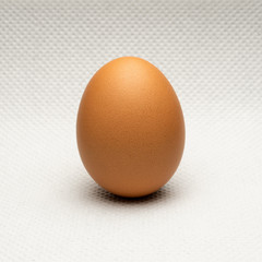 Egg on white textured background