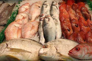 fresh fish at the market