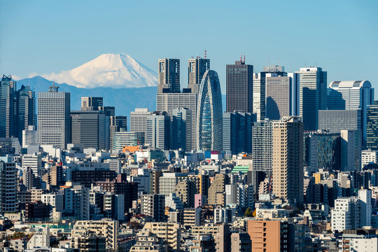shinjuku city fuji