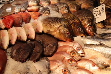 fresh fish on ice