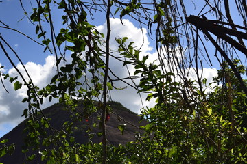 Galho de árvore, céu azul, colina preta