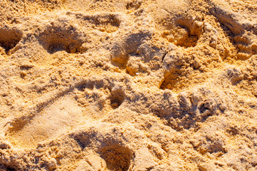 Bumpy tropical sandy beach with blurry blue ocean and sky