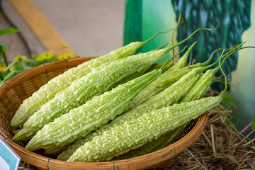 Fototapeta premium Bitter gourd fresh from the garden in bamboo baskets.