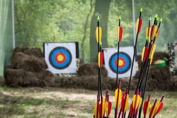 Bright colored arrows in a haystack against the backdrop of a target. Outdoors