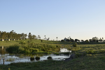 Fototapeta na wymiar Lagoa em horizonte rural. Gramado verde e paisagem tropical