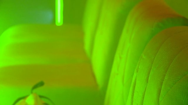Halloween party, melons, spiders, anonymus , mice in a secret box and saxophonist