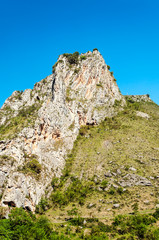 Forest in the Spanish province of Soria on a sunny day