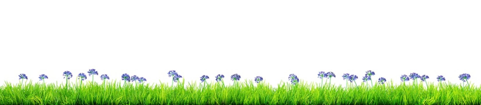 blue spring flowers and grass isolated 3D illustration