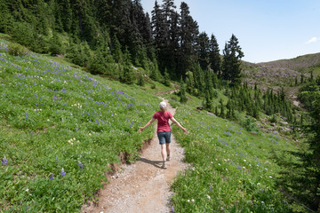 Hiking elfin lakes and rampart ponds in the garibaldi provincial park