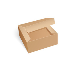 Carton Box with Open Top Empty Package Vector