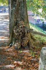 Cosplay Verkleidung Fantasie