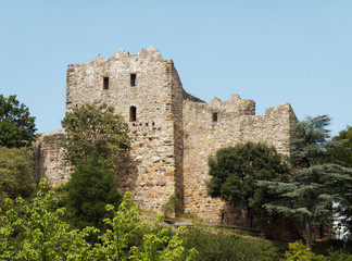 Fototapeta premium Badenweiler im Markgräflerland - Burgruine Baden