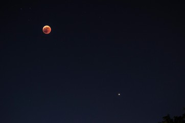 Veduta panoramica del cielo notturno con la luna e marte © giadophoto