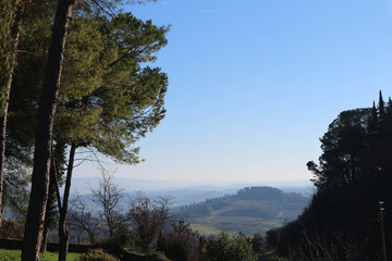 Winter morning Tuscany landscape with pine trees and blue sky, San Gimignano, Italy
