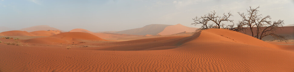 Picturesque Namib desert landscape, panoramic scene of huge red dunes  against blue sky near famous Deadvlei. Typical desert environment, wildlife photography in Namib Naukluft National Park, Namibia. © Martin Mecnarowski