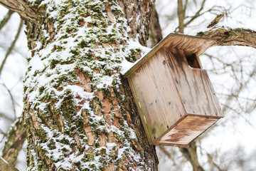 Beautiful view small, wood bird house in a cold winter day with snow on trees.