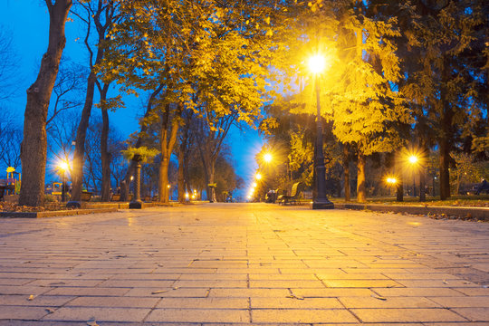 City park alley, bench, trees and lanterns. Night city park landscape