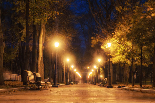 City park alley, bench, trees and lanterns. Night city park landscape