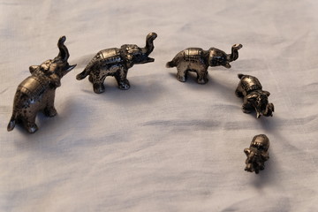 2019 01 - Elephants  7