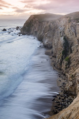 California Sea Lions on the beaches of Chimney Rock with crashing waves of the Pacific Ocean during winter sunset. Point Reyes National Seashore, Marin County, California, USA.