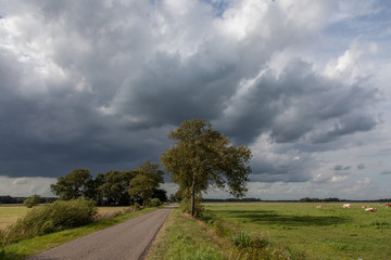 Fototapeta na wymiar Dutch landscape with dark clouds and hard winds