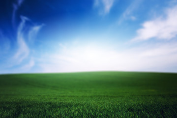 Fototapeta na wymiar Green grass lawn and blue cloudy sky. Nature idyllic beauty world