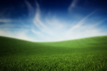 Fototapeta na wymiar Green grass lawn and blue cloudy sky. Nature idyllic beauty world