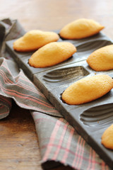 Madeleines-6562