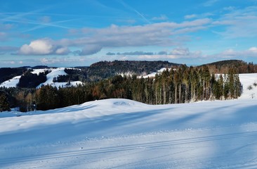 Fototapeta na wymiar Winterliche Landschaft