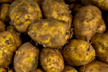 potatoes at the market