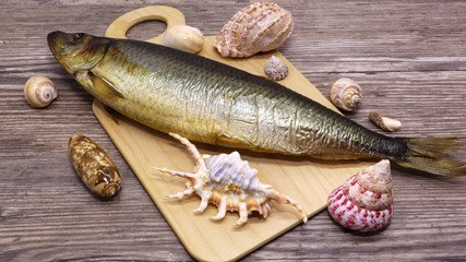 fresh fish and shell on a cutting board