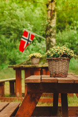 norwegian flag and green picnic site