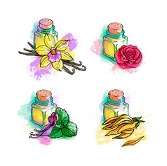 Hand drawing illustration, a set of different essential aromatic oils in the bottles, rose, patchouli, vanilla, ylang ylang flower. Watercolors, white background.