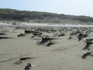 wind shaped coast