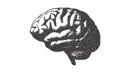 Brain illustration with stipple drawing style on white BG
