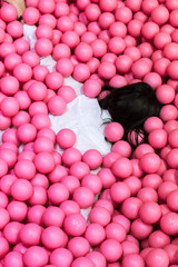 Frau schlafend im Bällebad