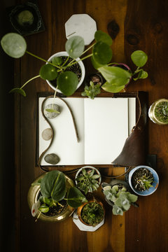 blank page leather journal with houseplants