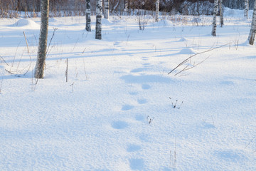 Winter background of fresh white snow